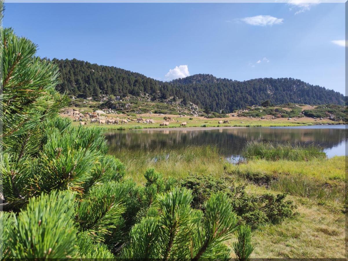 Résidence Orazur - De Charme Pour 6 à 8 Personnes - Poêle à Bois - 2 Balcons - Jardin - Parking - Internet - Navette- Linge Inclus Appartamento *